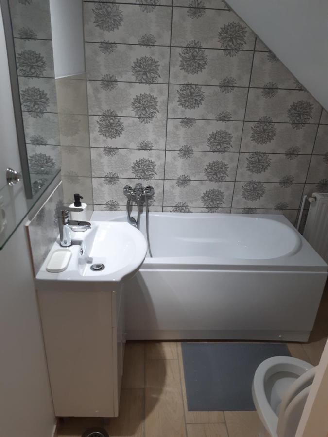 布拉索夫Casa J. Gusbeth公寓 外观 照片