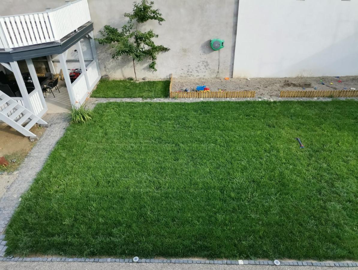 布拉索夫Casa J. Gusbeth公寓 外观 照片